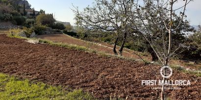 Real Estates picture 11 Ref. 70011