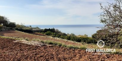 Real Estates picture 15 Ref. 70011