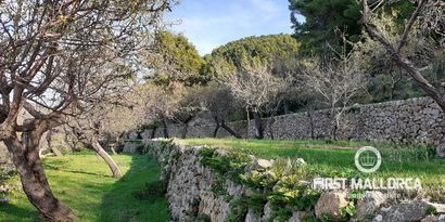 Real Estates picture 8 Ref. 70011