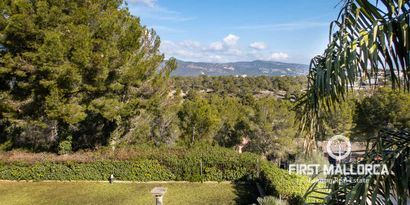 Inmobiliaria picture 16 Ref. Nº. 71341