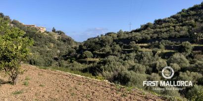 Immobilien picture 3 Ref. Nr. 71144