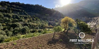 Immobilien picture 1 Ref. Nr. 71144