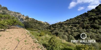 Immobilien picture 2 Ref. Nr. 71144