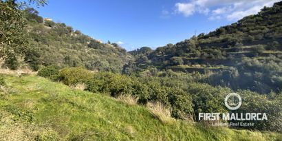 Immobilien picture 0 Ref. Nr. 71144