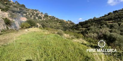 Immobilien picture 4 Ref. Nr. 71144