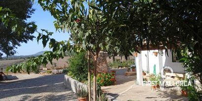 Inmobiliaria picture 13 Ref. Nº. 75255