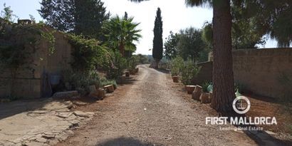 Inmobiliaria picture 12 Ref. Nº. 75255