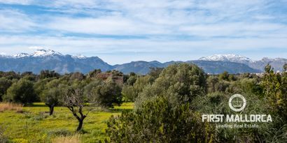 Inmobiliaria picture 25 Ref. Nº. 76270