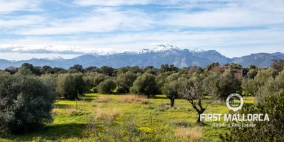 Inmobiliaria picture 24 Ref. Nº. 76270