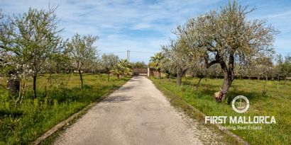 Inmobiliaria picture 26 Ref. Nº. 76270