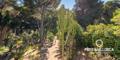 Immobilien picture 24 Ref. Nr. 76456