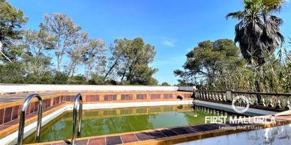 Real Estates picture 15 Ref. 76503