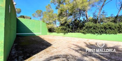 Real Estates picture 25 Ref. 76503