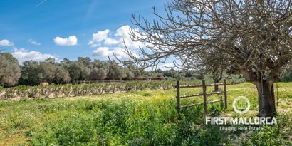 Inmobiliaria picture 23 Ref. Nº. R10340