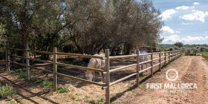 Inmobiliaria picture 6 Ref. Nº. R10340