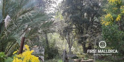 Inmobiliaria picture 6 Ref. Nº. 75459