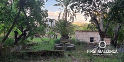 Inmobiliaria picture 4 Ref. Nº. 75459