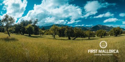 Inmobiliaria picture 8 Ref. Nº. 75459