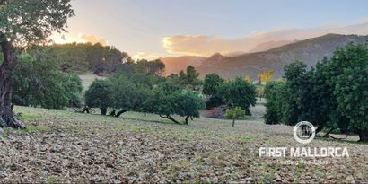 Inmobiliaria picture 2 Ref. Nº. 75459