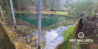 Inmobiliaria picture 9 Ref. Nº. 75459