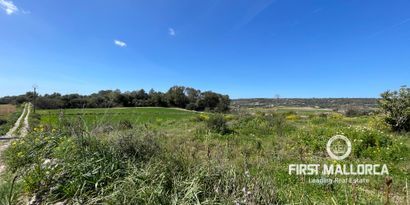 Inmobiliaria picture 1 Ref. Nº. 72041