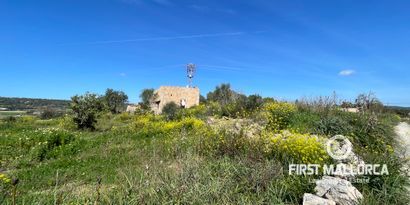 Inmobiliaria picture 5 Ref. Nº. 72041