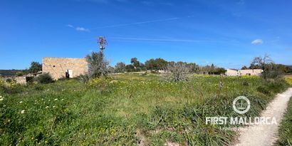 Inmobiliaria picture 4 Ref. Nº. 72041