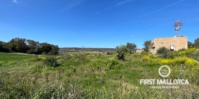 Inmobiliaria picture 0 Ref. Nº. 72041
