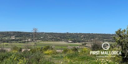 Inmobiliaria picture 2 Ref. Nº. 72041