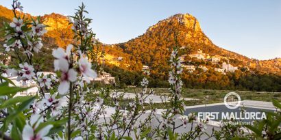 Immobilien picture 3 Ref. Nr. 76548