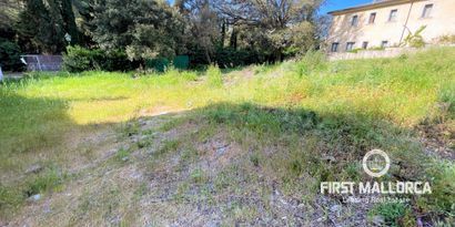 Inmobiliaria picture 1 Ref. Nº. 76658