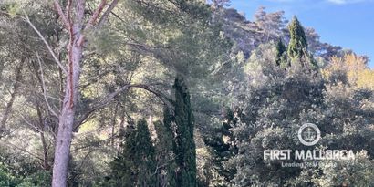 Inmobiliaria picture 5 Ref. Nº. 76658