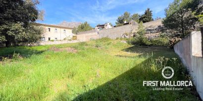 Inmobiliaria picture 0 Ref. Nº. 76658