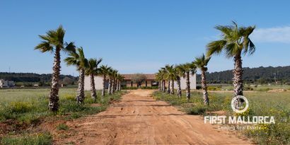 Inmobiliaria picture 1 Ref. Nº. 73109