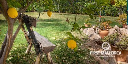 Недвижимость picture 7 Ref 67839