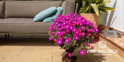 Недвижимость picture 6 Ref 67839