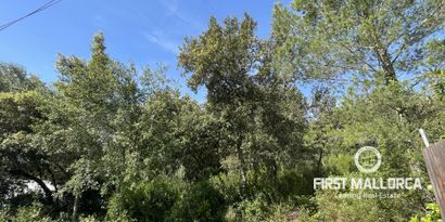 Real Estates picture 5 Ref. Nr. 76512