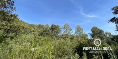 Real Estates picture 1 Ref. Nr. 76512