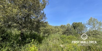 Real Estates picture 2 Ref. Nr. 76512