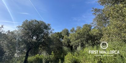 Real Estates picture 4 Ref. Nr. 76512