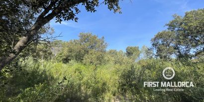 Real Estates picture 3 Ref. Nr. 76512