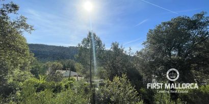 Real Estates picture 0 Ref. Nr. 76512