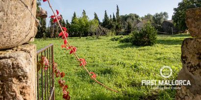 Real Estates picture 26 Ref. Nr. 75488