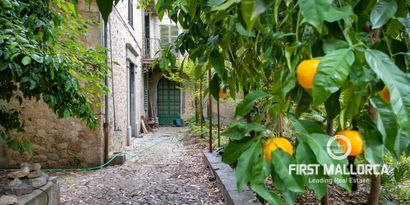 Inmobiliaria picture 14 Ref. Nº. 76955