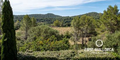 Недвижимость picture 38 Ref 77049