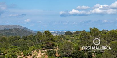 Immobilien picture 23 Ref. Nr. 77081