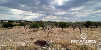 Inmobiliaria picture 6 Ref. Nº. 77112