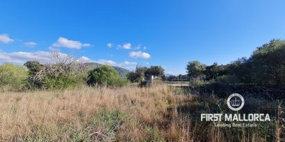 Immobilien picture 3 Ref. Nr. 76384