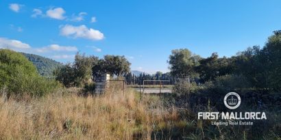 Immobilien picture 5 Ref. Nr. 76384