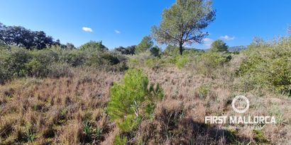 Immobilien picture 1 Ref. Nr. 76384